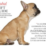 Trend Report: French Bulldogs